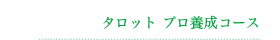 タロットプロ養成コース
