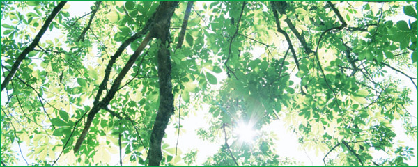 出張・イベントリーディングイメージ